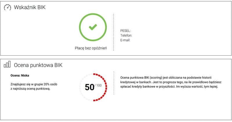 Jak w prosty sposób zdobyć darmowy raport BIK?