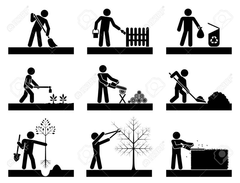 Wpływ cięcia na plony