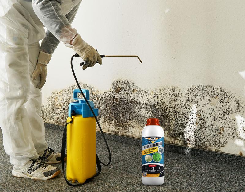 Profilaktyka pleśni