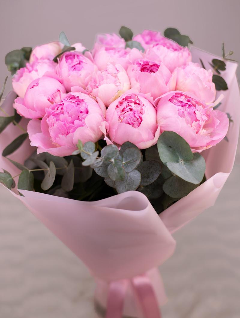 Przycinanie piwonii zimą