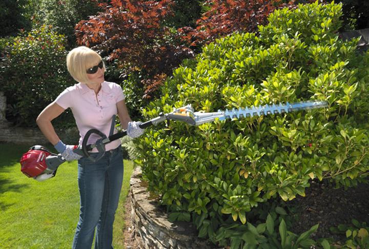 Przycinanie krzewów ozdobnych