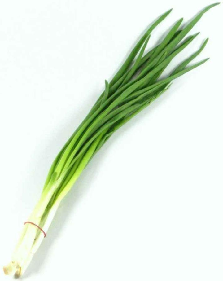 Sadzenie szczypiorku w gruncie