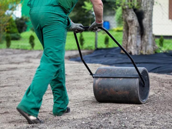 Poradnik zakładania trawnika krok po kroku