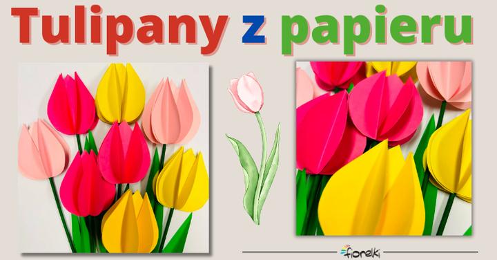 Uprawa tulipanów krok po kroku