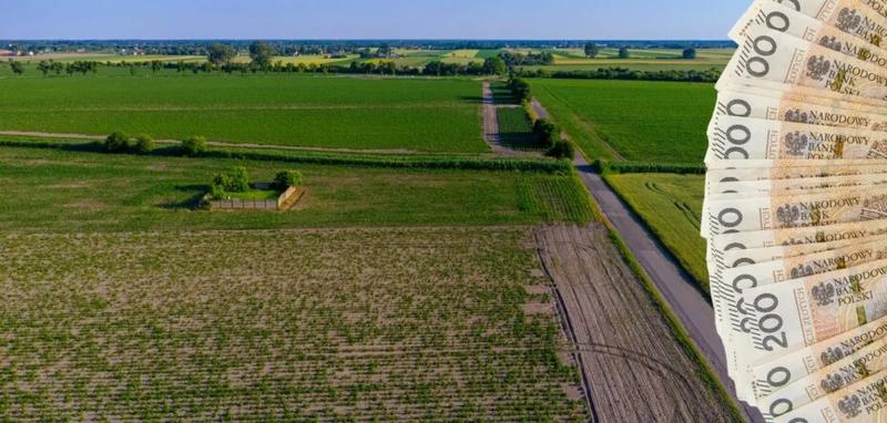 Koszty zakupu ziemi rolnej
