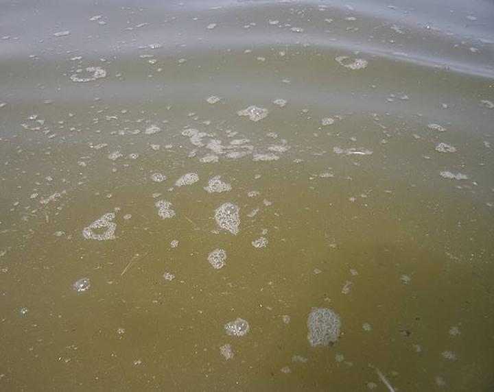 Prawo do czystej wody i prawa konsumenta