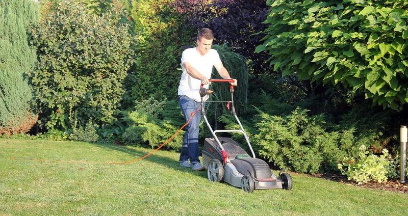 Stawki regionalne koszenie trawników