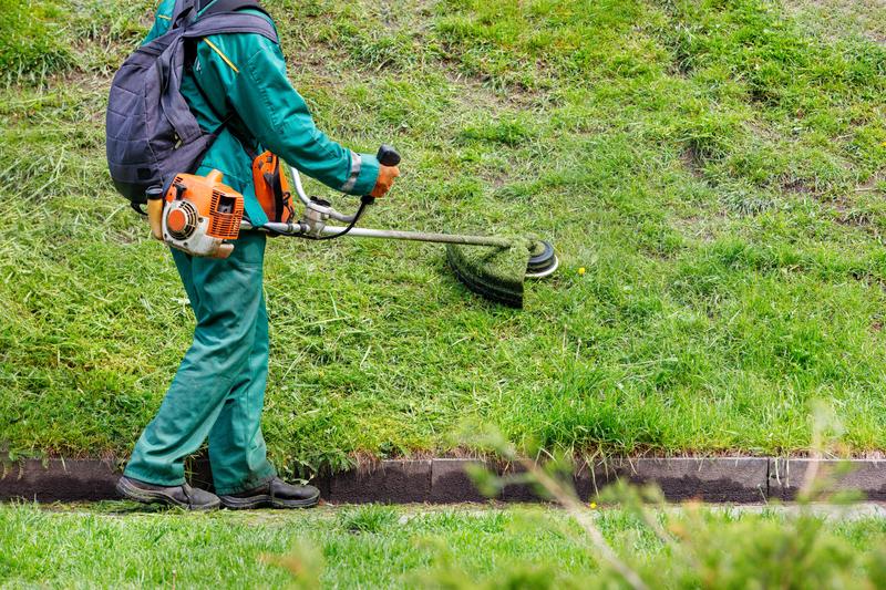 Zarobki koszenie trawy